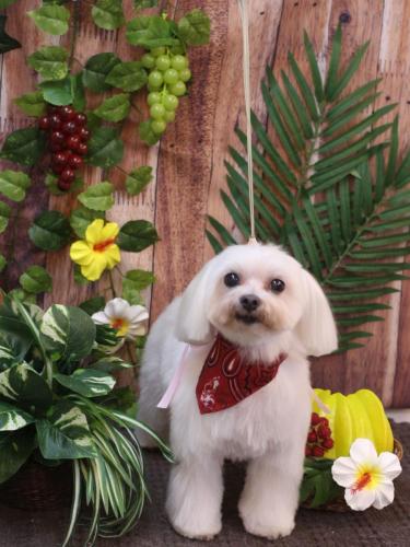 20230801心琴ちゃん